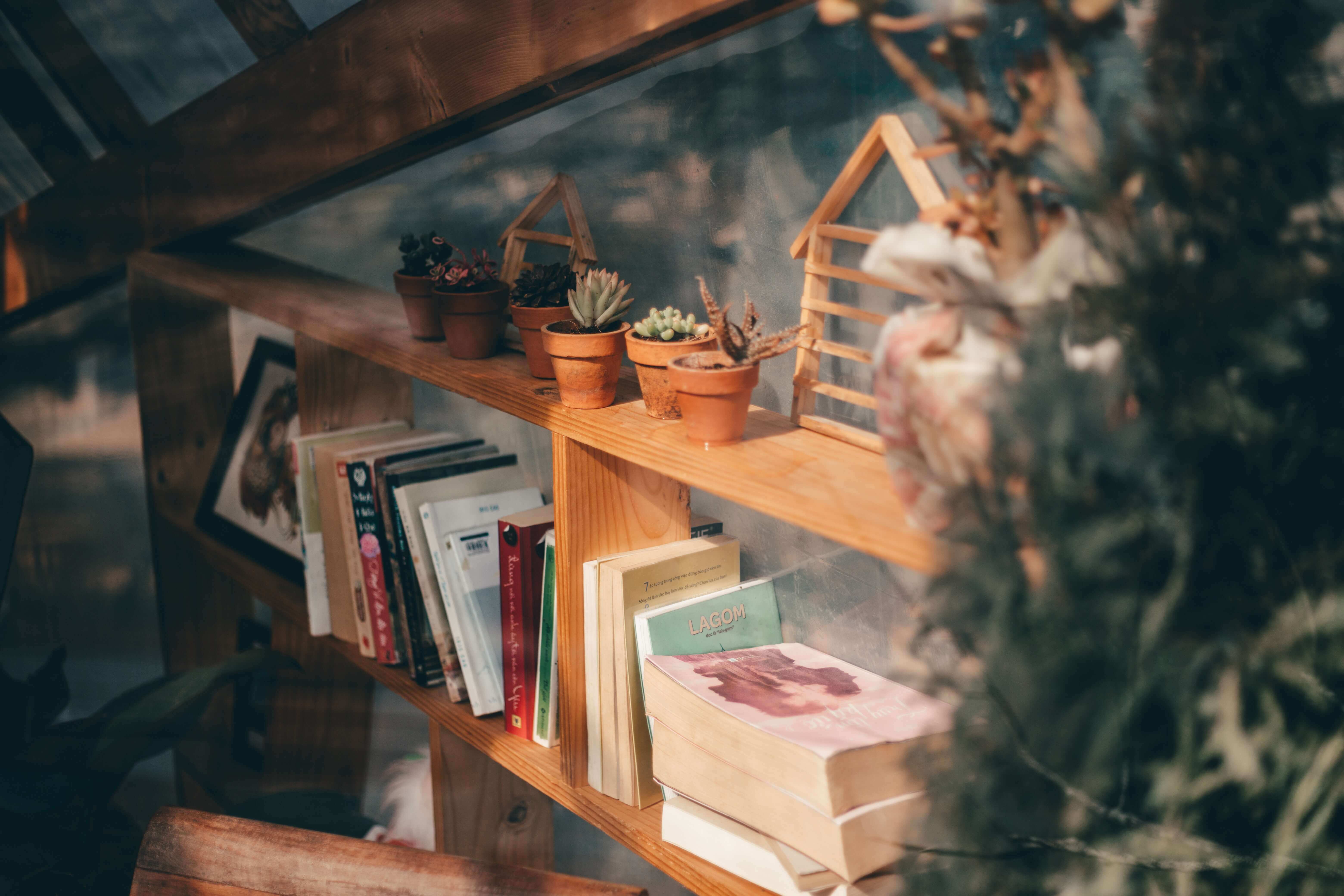 Imagen biblioteca en perspectiva